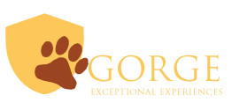 Travel Gorge Tours